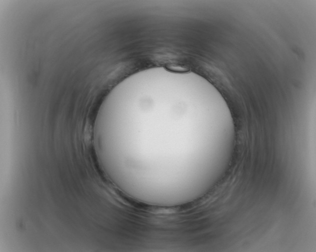 X0000115500081200911061031
