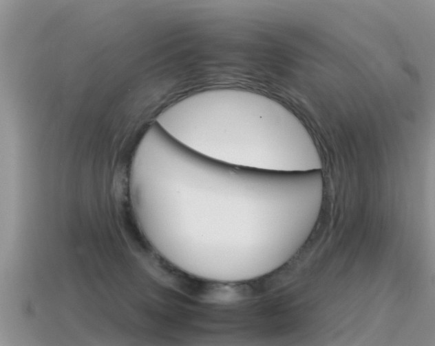 X0000115500083200911061031