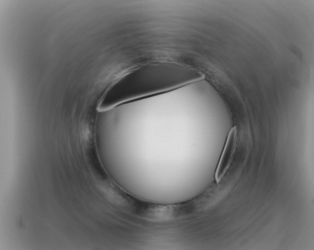 X0000115500084200911061031