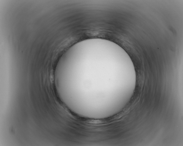 X0000115500085200911061031