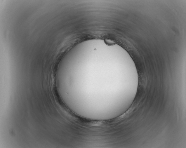 X0000115500086200911061031
