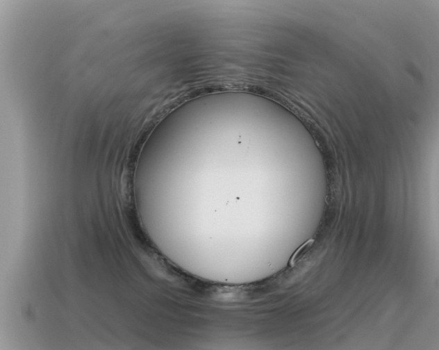 X0000115500088200911061031