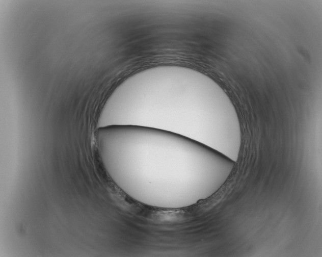 X0000115500089200911061031