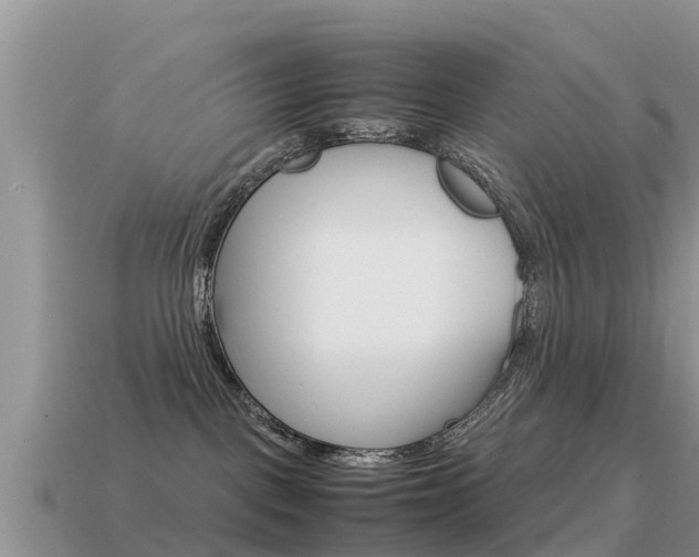 X0000115500093200911061031