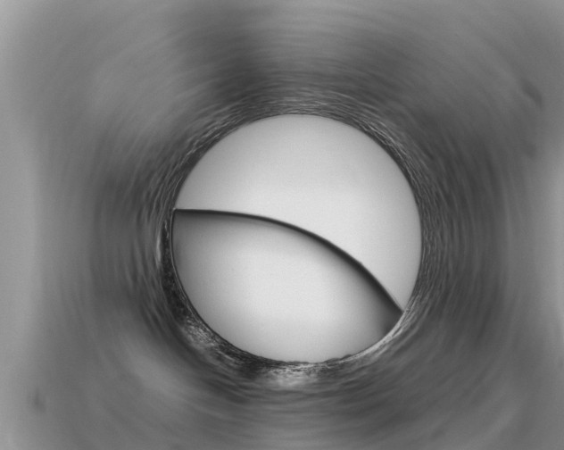 X0000115500094200911061031