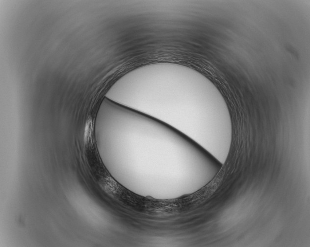 X0000115500095200911061031