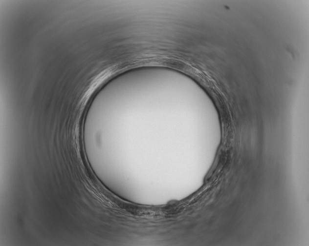 X0000115500099200911061030