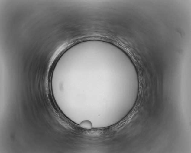 X0000115500102200911061030