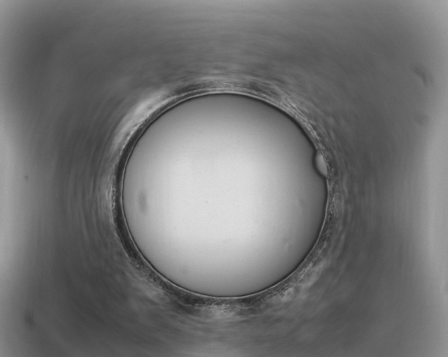 X0000115500103200911061030