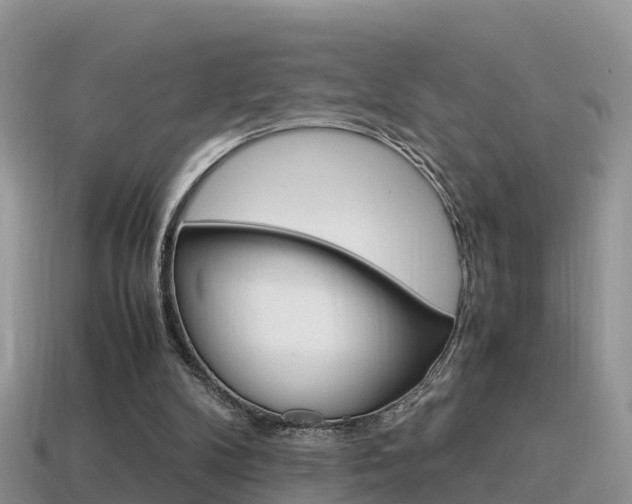 X0000115500104200911061030