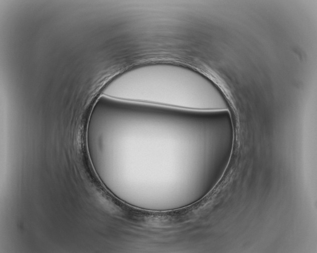 X0000115500105200911061030