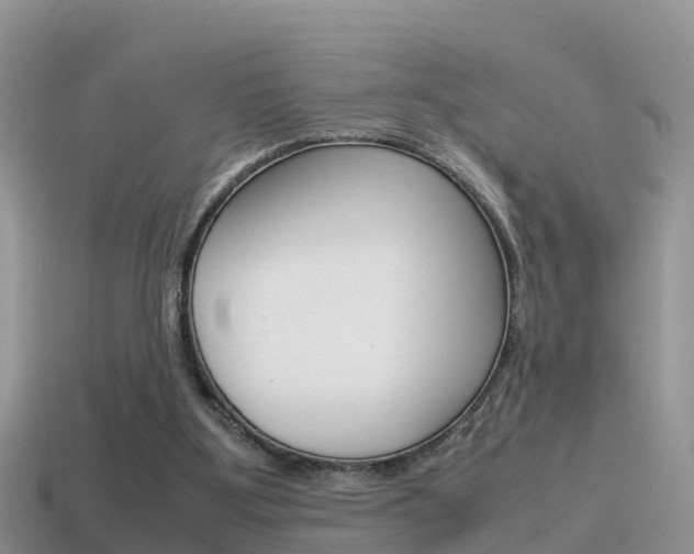 X0000115500107200911061030