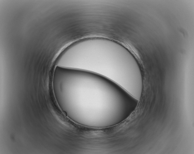 X0000115500108200911061030