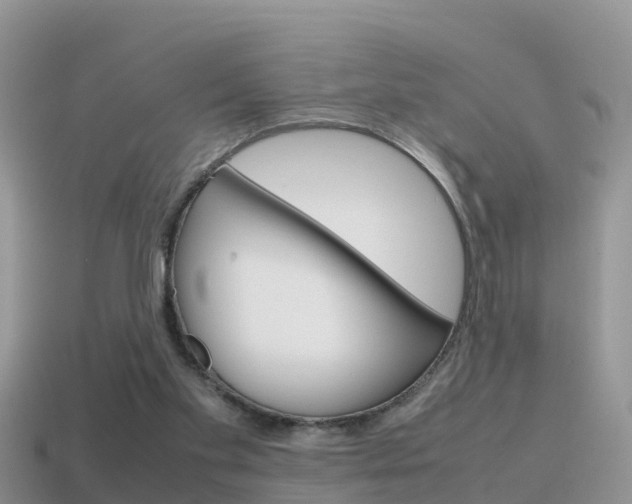 X0000115500109200911061030