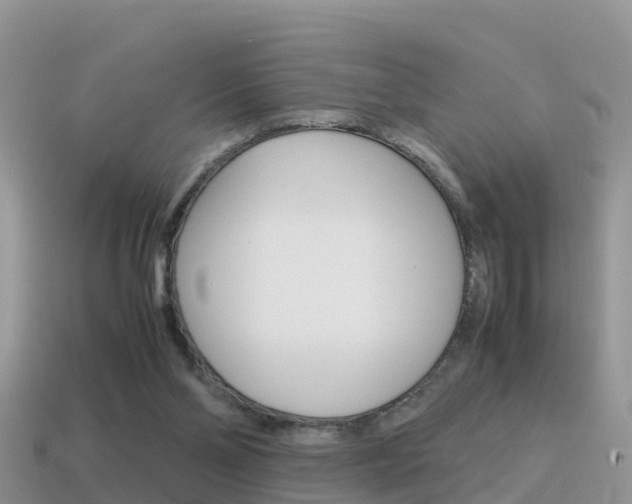 X0000115500110200911061030