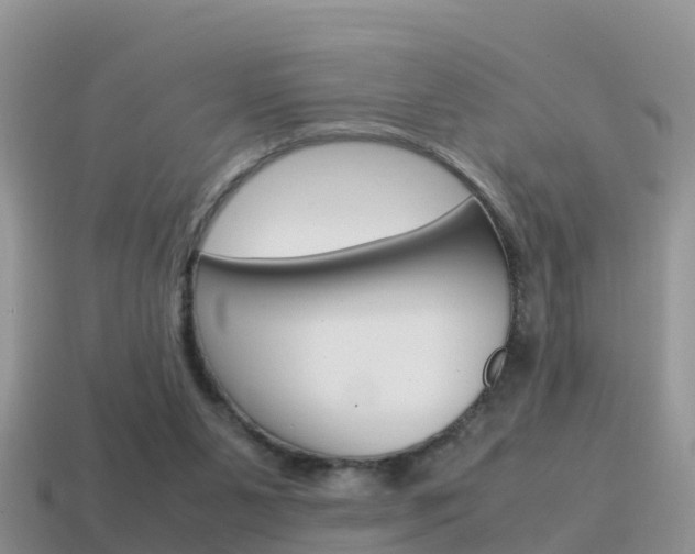 X0000115500111200911061030