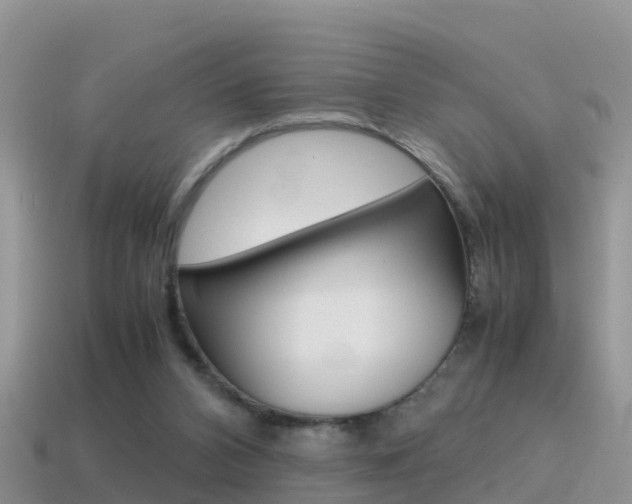 X0000115500112200911061030