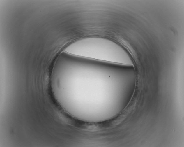 X0000115500113200911061030
