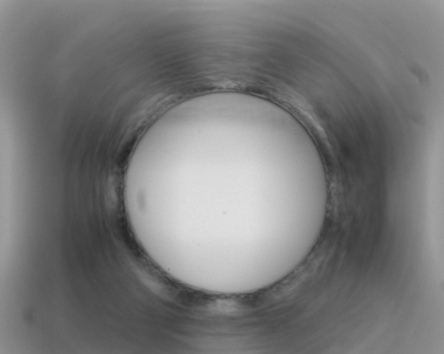 X0000115500114200911061030