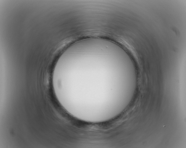 X0000115500115200911061030