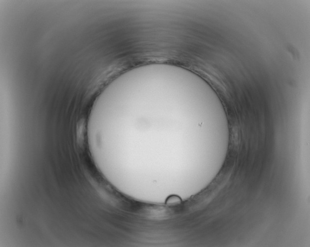 X0000115500118200911061030