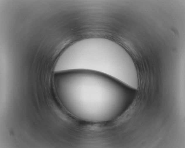 X0000115500120200911061030