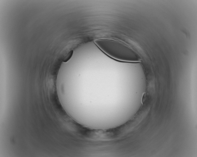 X0000115500121200911061030
