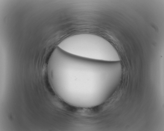 X0000115500125200911061030