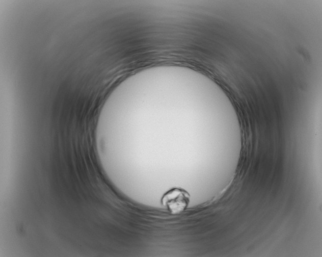 X0000115500128200911061030