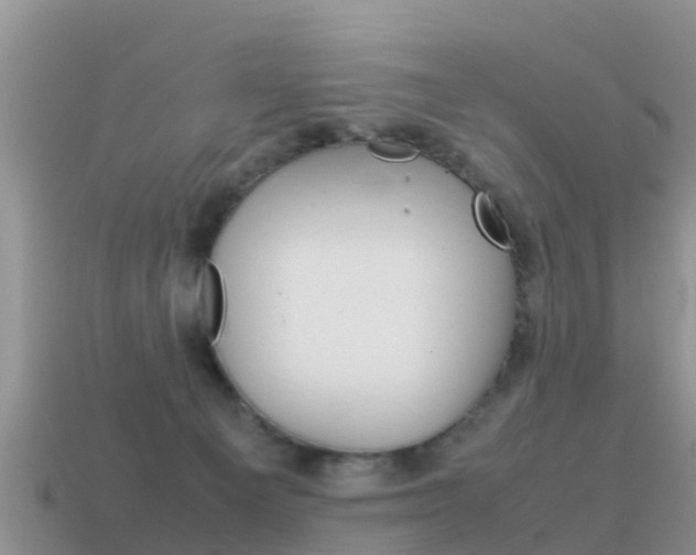 X0000115500129200911061030