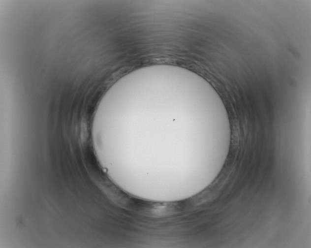 X0000115500130200911061030