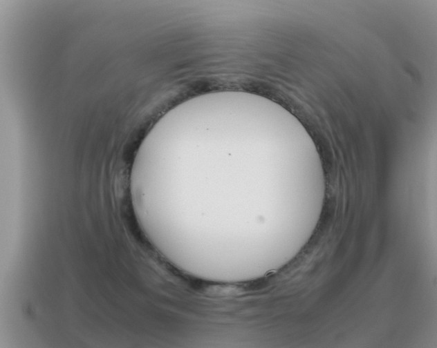 X0000115500133200911061030