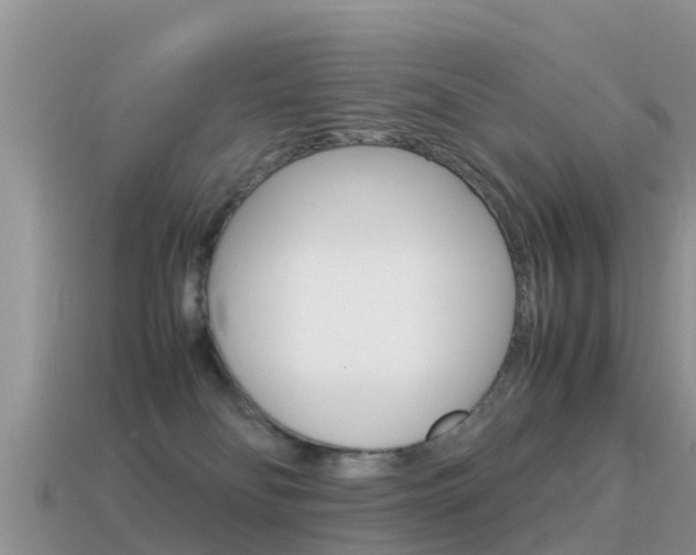 X0000115500134200911061030