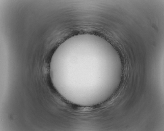 X0000115500135200911061030