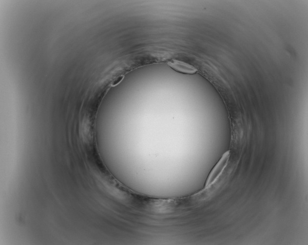 X0000115500136200911061030