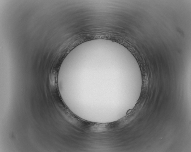 X0000115500138200911061030