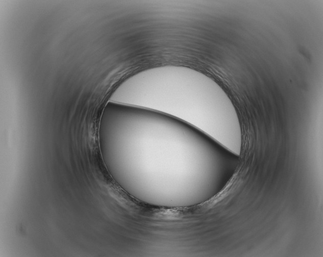 X0000115500140200911061030