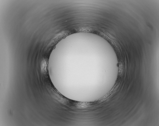 X0000115500142200911061030