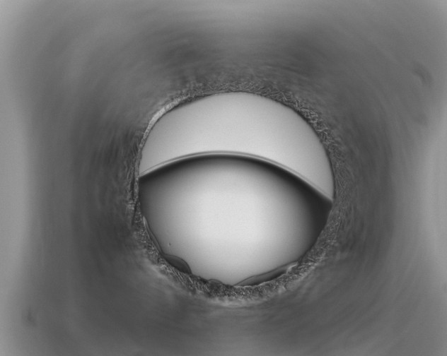 X0000115500144200911061030