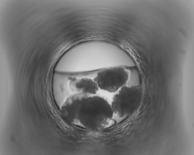 X0000115500145200911061029
