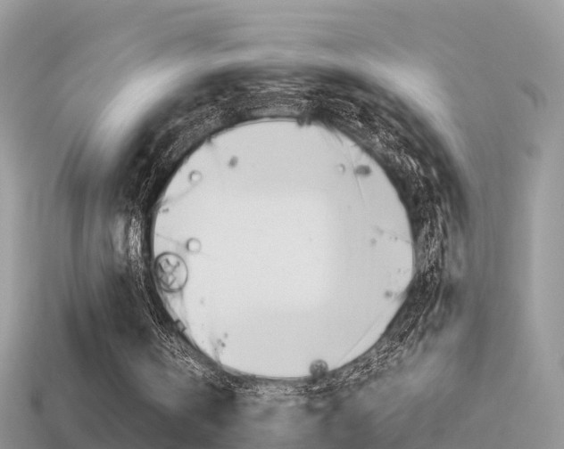 X0000115500146200911061029