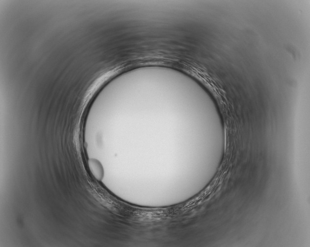 X0000115500147200911061029