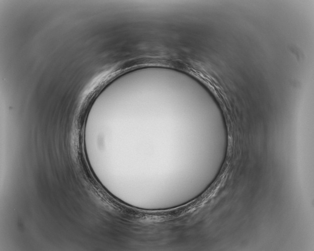 X0000115500149200911061029