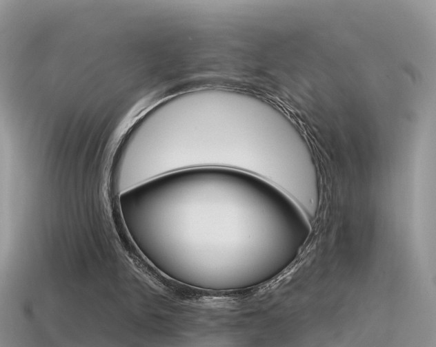 X0000115500150200911061029