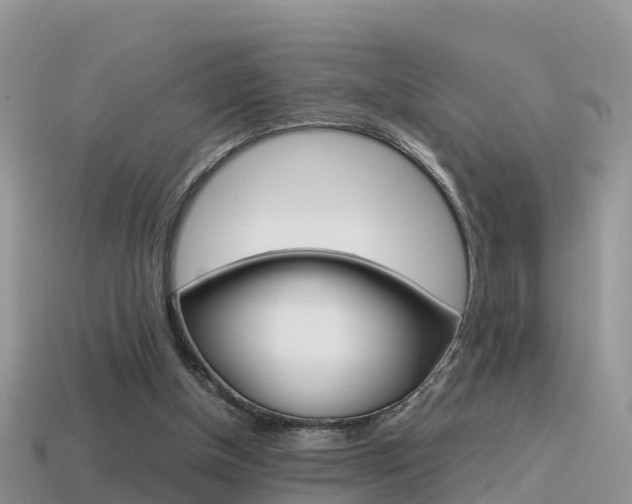 X0000115500154200911061029