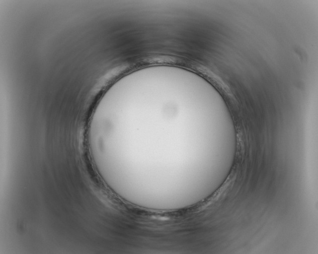 X0000115500159200911061029