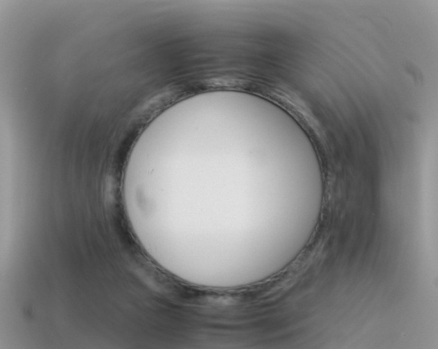 X0000115500161200911061029