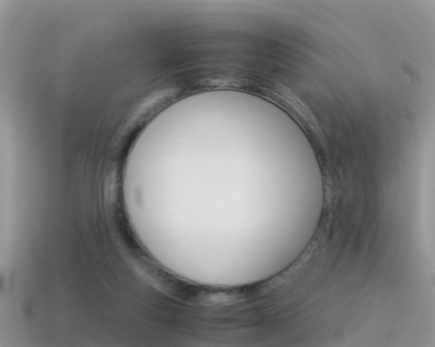 X0000115500163200911061029