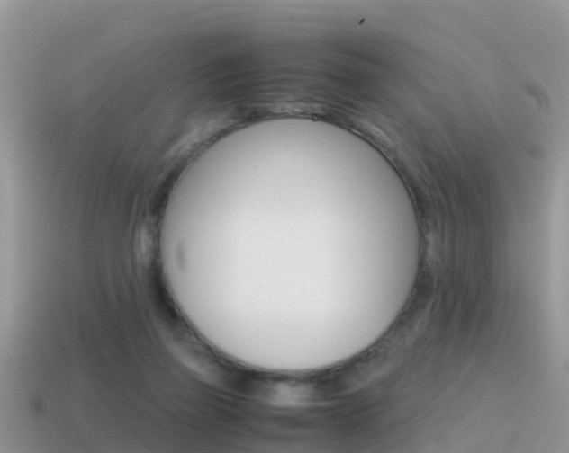 X0000115500165200911061029