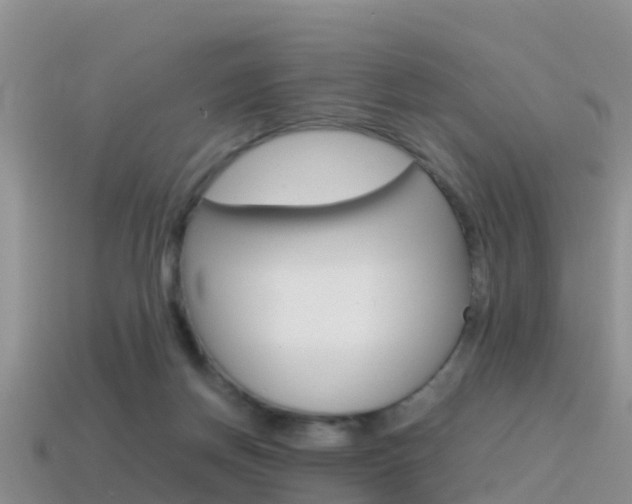 X0000115500166200911061029
